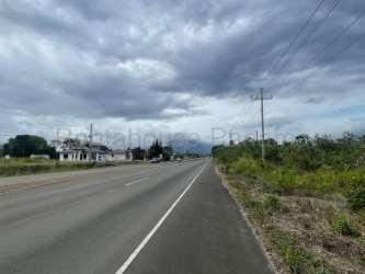 Vacant land with utility pole access along paved road suitable for development in Alto Boquete