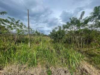 Dense overgrown commercial lot suitable for clearing and construction in Alto Boquete