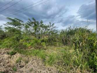 Boquete commercial investment land for sale with lush vegetation and gentle slope