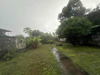 Commercial/Residential House for Rental in David District - 3 bedrooms