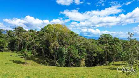 Green grazing land with mountain backdrop in Potrerillos Arriba near Boquete Panama