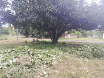 Suburban grassy lot with fence ready for building vacation or residential home