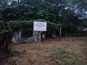 Spacious natural land for development near Pacific beaches and surf spots Chiriquí Panama