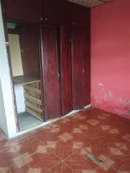 Side view residential house with garden and sidewalk