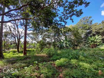 Beautiful 600m² Land in Palmira Boquete Chiriquí