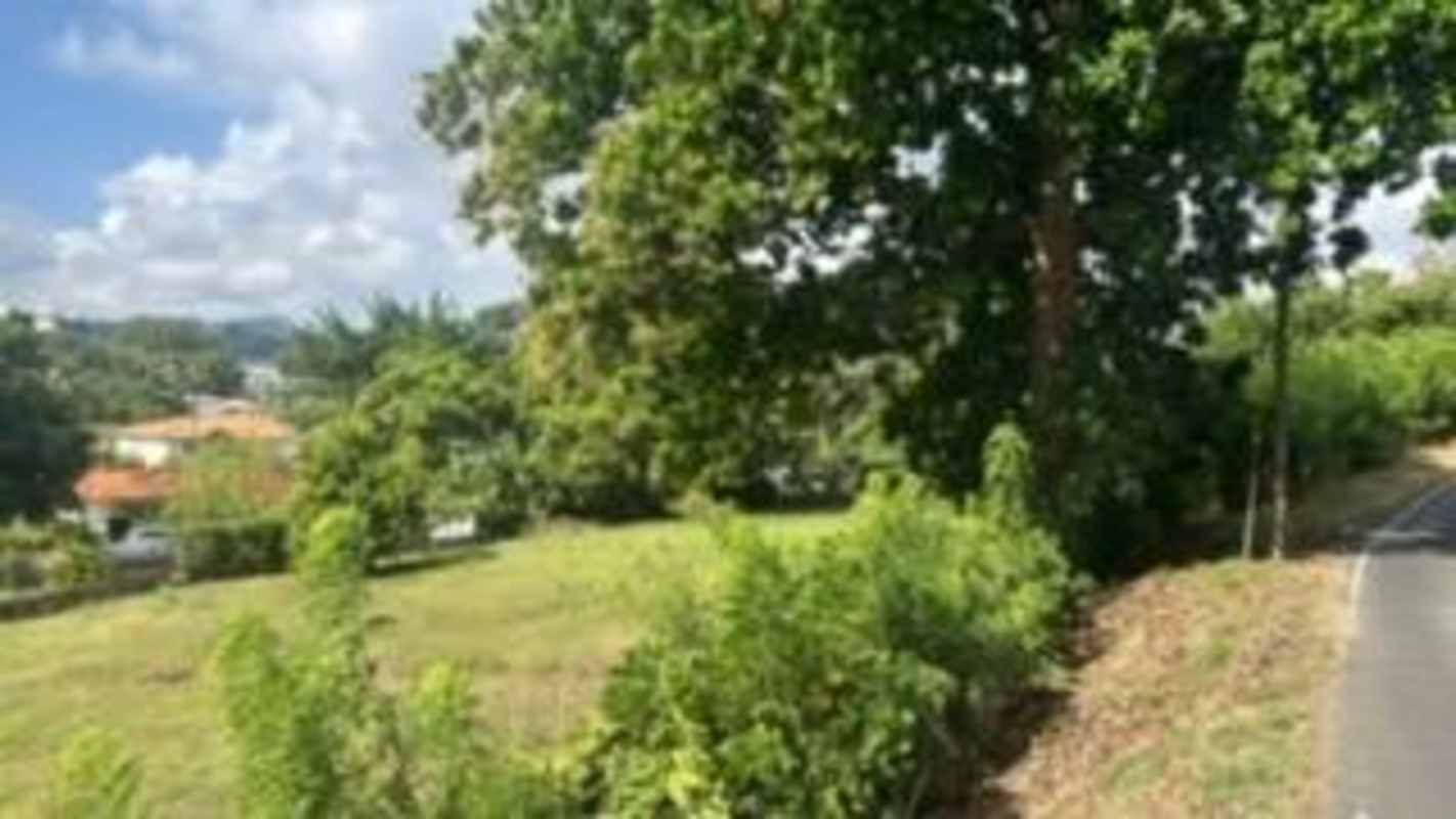 Suburban hillside landscape with scattered houses and green vegetation Las Cumbres Panama
