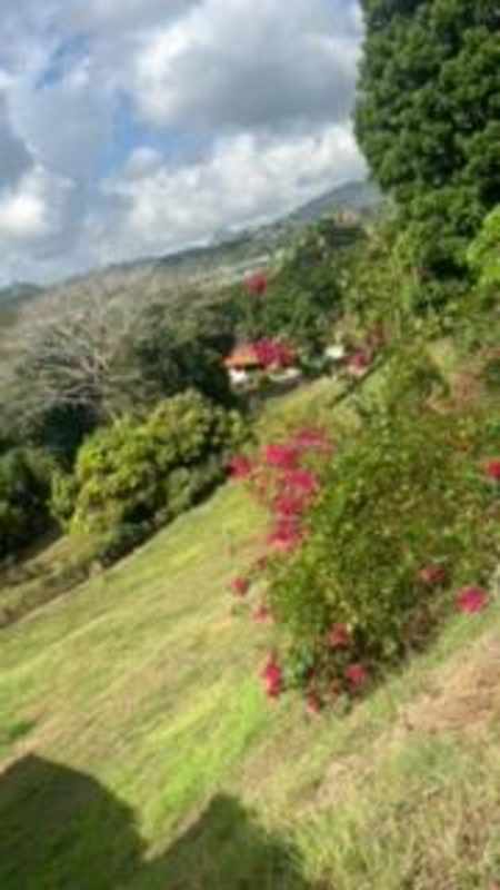 Large 5671 m² Land in Las Cumbres Tocumen with House
