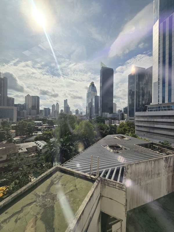 City skyline view with skyscrapers and greenery from World Trade Center Panama offices