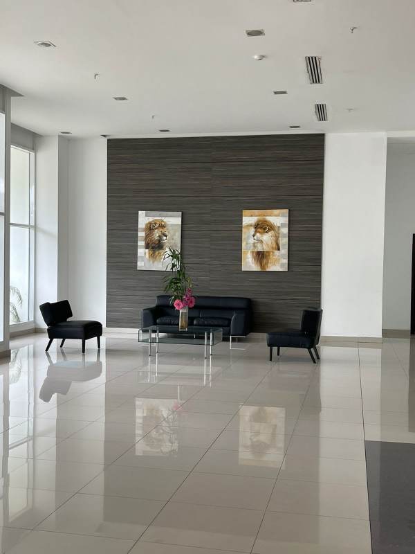 Modern gym with large windows and blue accent walls in PH King Park Panama City