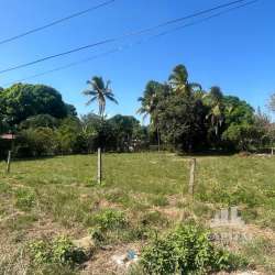 Green lot with partial fencing and vegetation in Antón, Río Hato, Panama