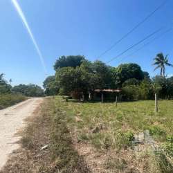 Expansive green rural land with scattered trees and rustic building in Coclé province Panama