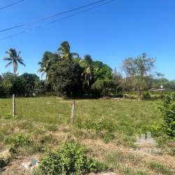 Large natural land lot with green grass, tropical trees, blue sky in Rio Hato Panama