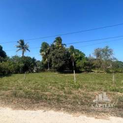 Flat grassy land with palm trees and utility access in Río Hato Antón Panama