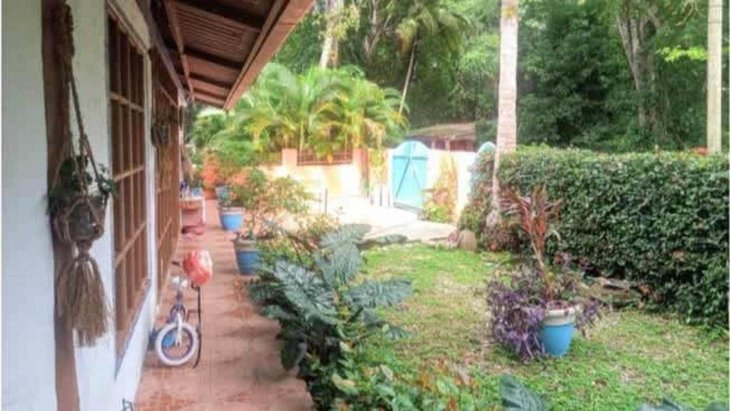 Rustic porch with lush tropical garden and blue gate Isla Contadora Panama