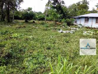Open grassy plot with vegetation and rural house ideal for storage business rental in Solano Bugaba Panama