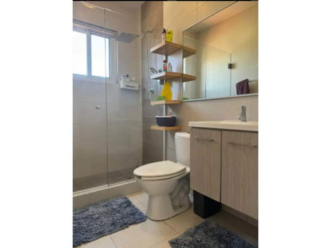 Spacious bedroom with natural light window overlooking garden in Quinta de Versalles