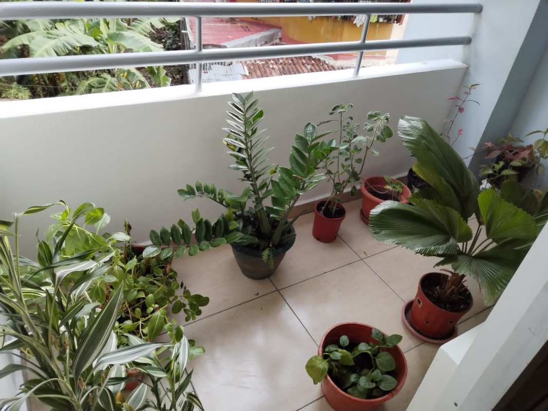 Contemporary bathroom with glass shower enclosure in PH Sunflower Panama City