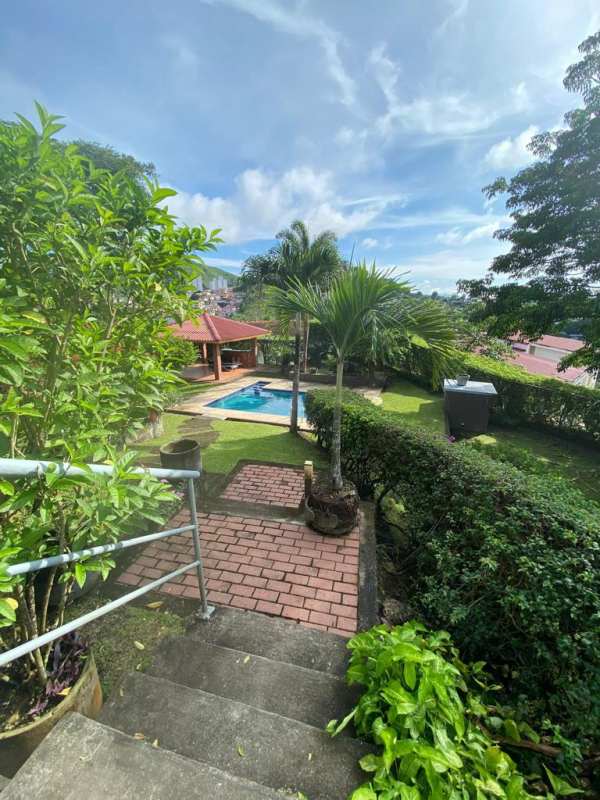 Backyard swimming pool and gazebo surrounded by greenery in Condado del Rey