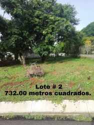 Vacant lot of 720 m² with natural grass, trees, asphalt road and sidewalk in Capira Panama