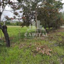 Open farmland with access road and natural vegetation in Natá Coclé Panama real estate