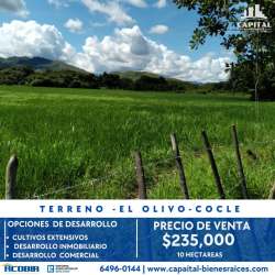 Green grassy land with mountain backdrop in El Caño Coclé ideal for investment property Panama