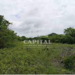 Land for Sale in Natá - 0 bedrooms