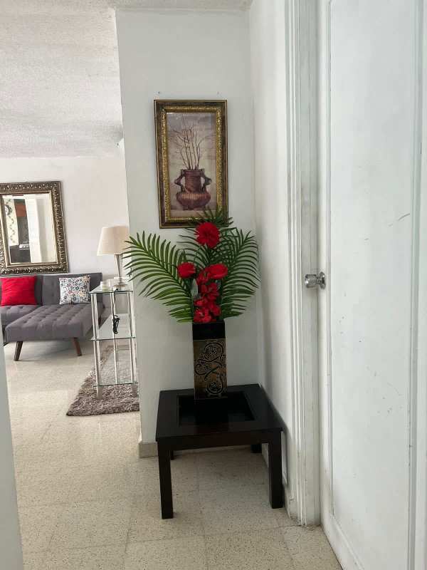 Apartment hallway with decor accents leading to living room in Panama luxury tower