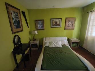 Lush yard and mountain view from country property Panama rental La Laguna San Carlos