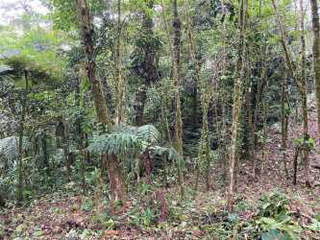 Land for Sale in Altos del María - 0 bedrooms