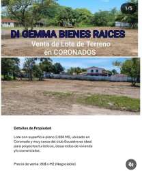 Large cleared lot near Coronado Equestrian Club ideal for housing, tourism, or commercial