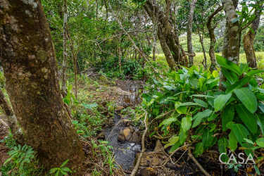 Panoramic Mountain View Land for Sale Gualaca Chiriqui - View 5