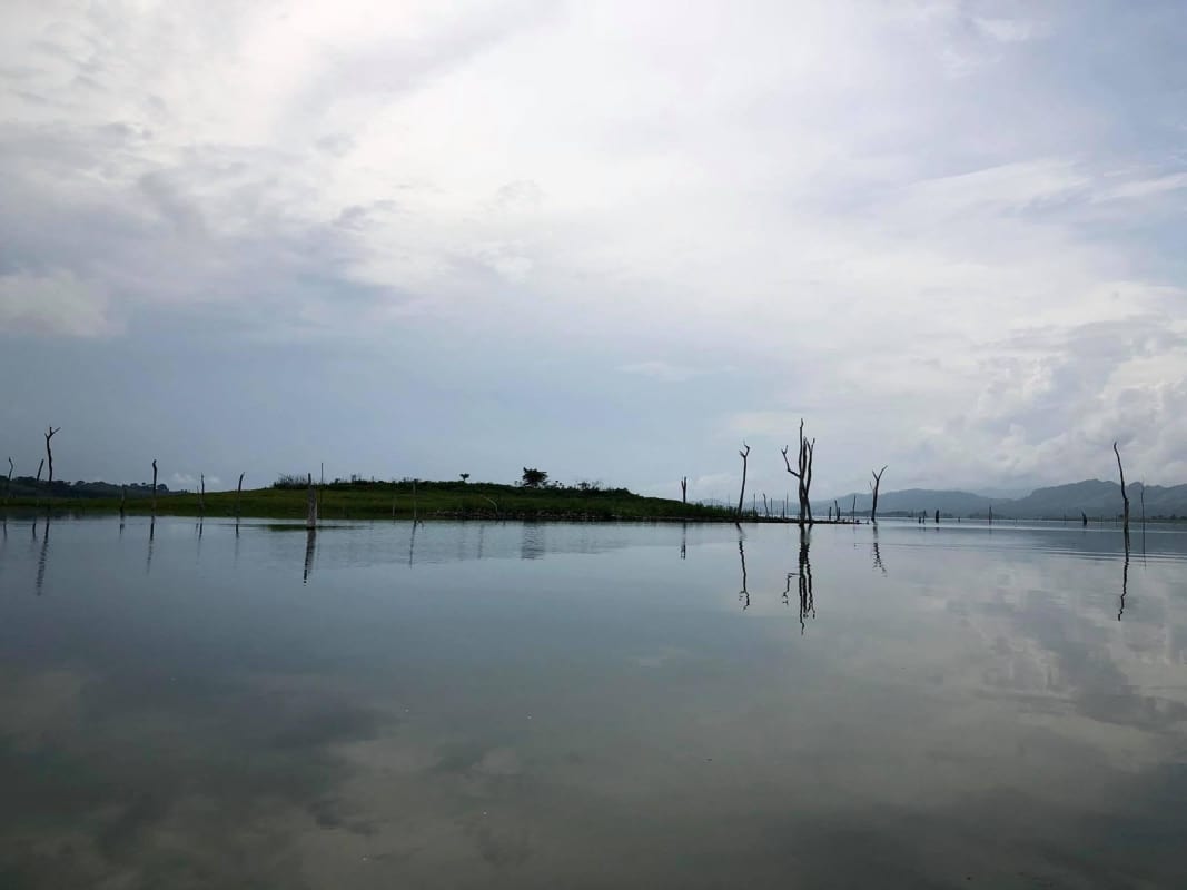 Serene lake view with grassy island area natural waterfront at Lake Bayano Panama