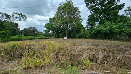 Vacant land plot with mature greenery in El Francés Boquete, perfect for house or business