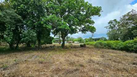 Green natural Boquete land plot for residential or commercial building Panama