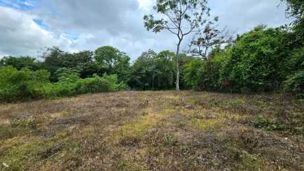 Natural flat land in El Francés, Boquete Highlands ideal for residential or commercial use