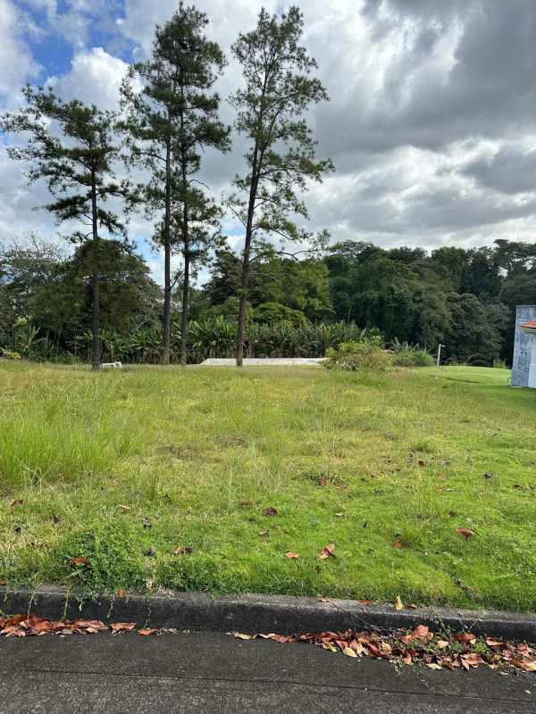 Lush golf course with cart path and fairways at Club de Golf Panama