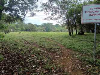 Rustic dirt pathway with wooden fence and dense trees countryside Las Lomas David