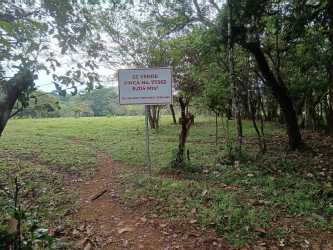 Fertile soil countryside land suitable for agriculture cattle ranch Chiriquí