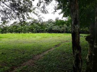 Land for Sale in Las Lomas - 0 bedrooms