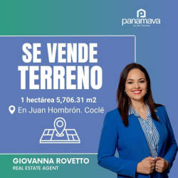 Vacant land parcel close to Juan Hombrón beach in Coclé with flat terrain and greenery