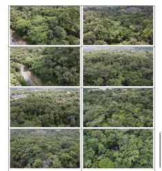 Aerial view of dense natural forest and dirt roads on 4 hectare Panama Oeste land for sale
