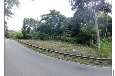 Vacant 4 hectare lot with curved roadside view natural trees near Interamerican Highway La Chorrera Panama