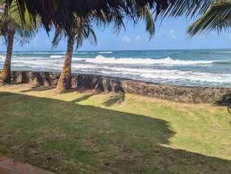 Oceanfront yard with palm trees Caribbean coast Palenque Panama villa