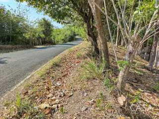 Land for Sale in Las Uvas - 0 bedrooms