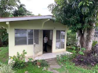 Garden space with greenery in house for rent David Chiriquí Panama