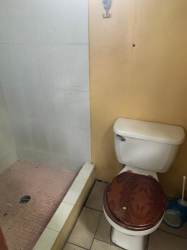 Bathroom with shower and toilet in house for rent in David Panama
