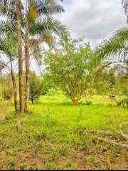 Land for Sale in Renacimiento - 0 bedrooms