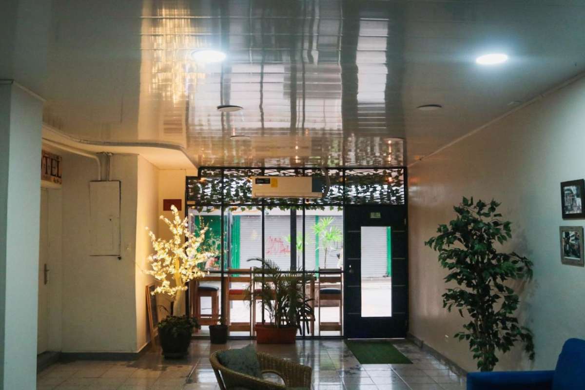 Restaurant dining space with hanging greenery, mural artworks, wooden furniture Casco Viejo Panama