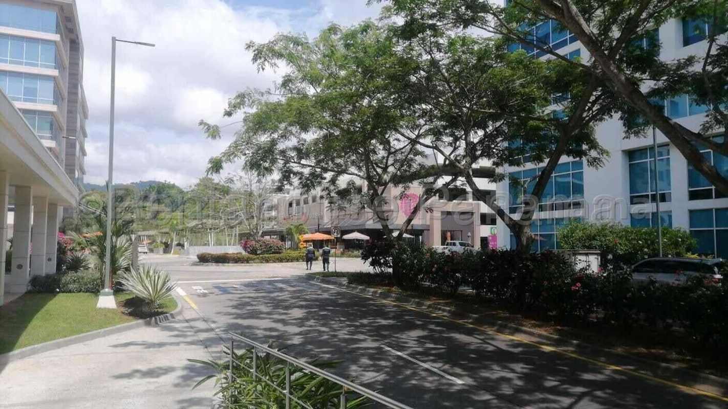 Modern commercial complex with glass office buildings and landscaping at Panama Pacifico