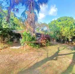 Spacious rustic living room with tiled floor, ceiling fan, pink covered sofas and large windows in Tinajas Dolega Panama